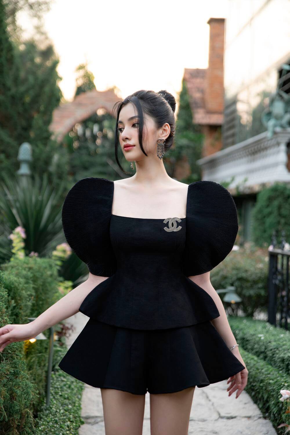 Francesca Puffy Sleeves Top